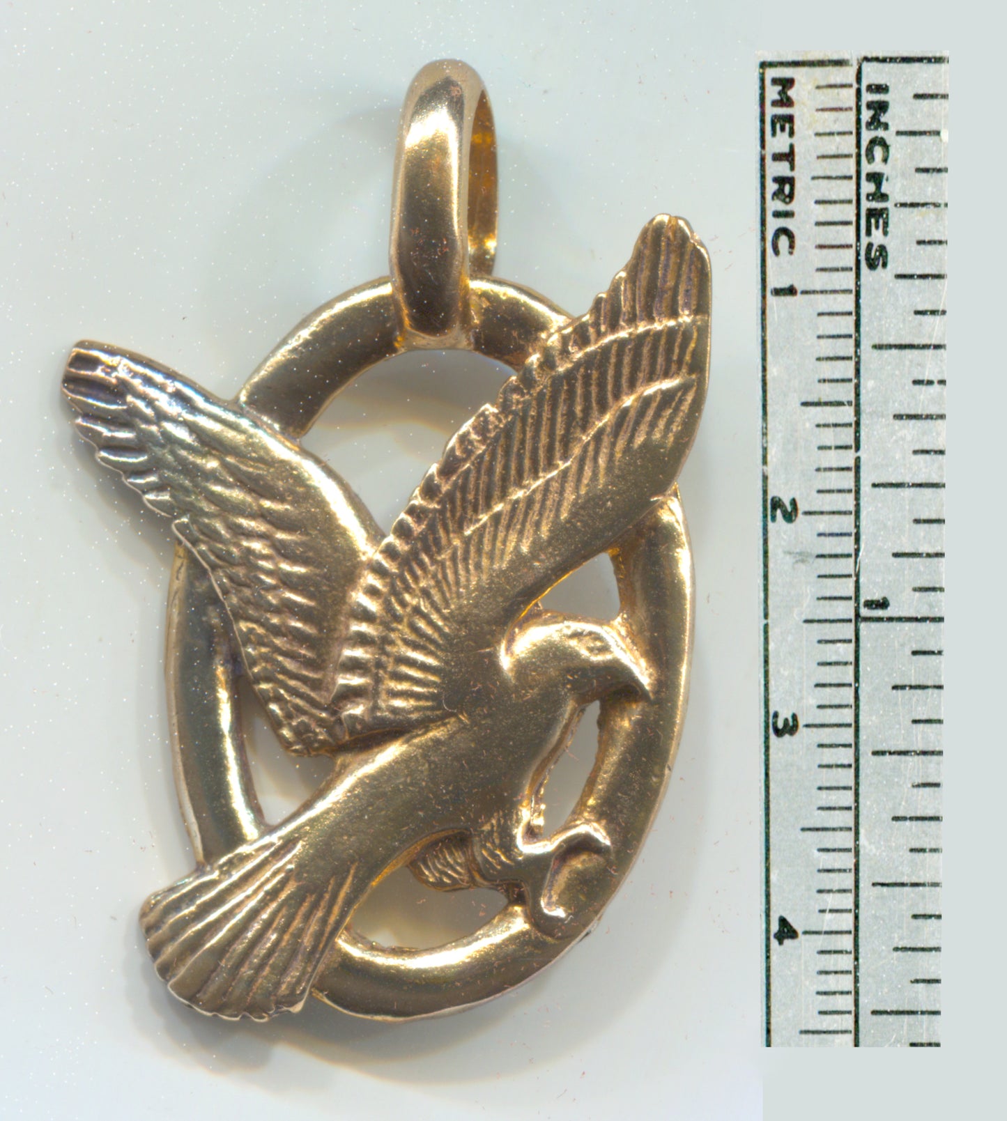 Harrier Hawk / Marsh Hawk - 3020B