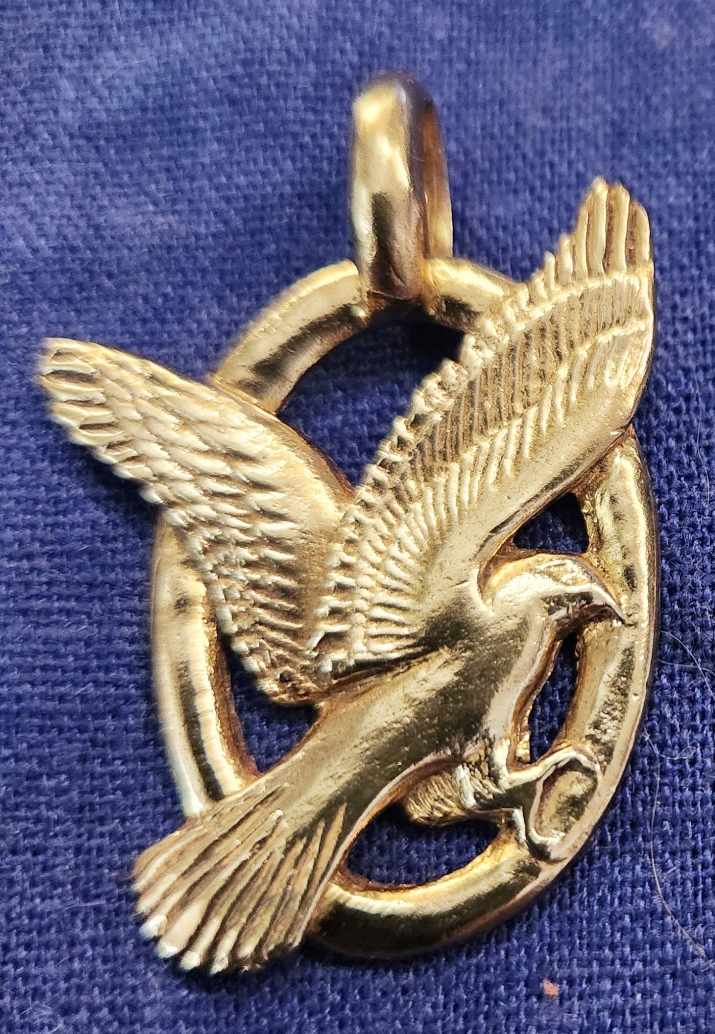 Harrier Hawk / Marsh Hawk - 3020B