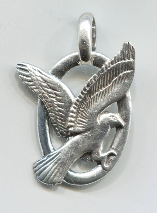 Harrier Hawk / Marsh Hawk - 3020S