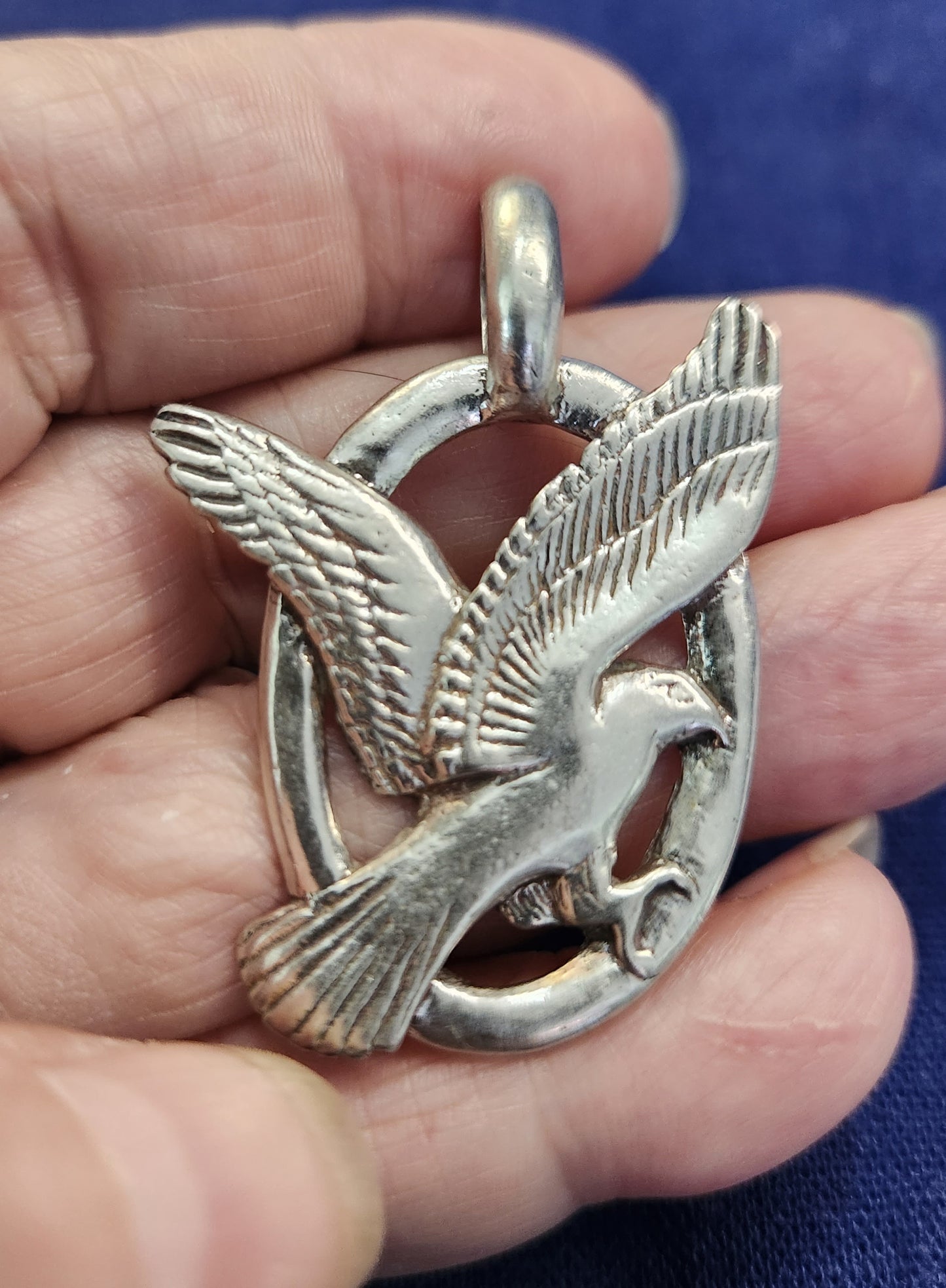 Harrier Hawk / Marsh Hawk - 3020S