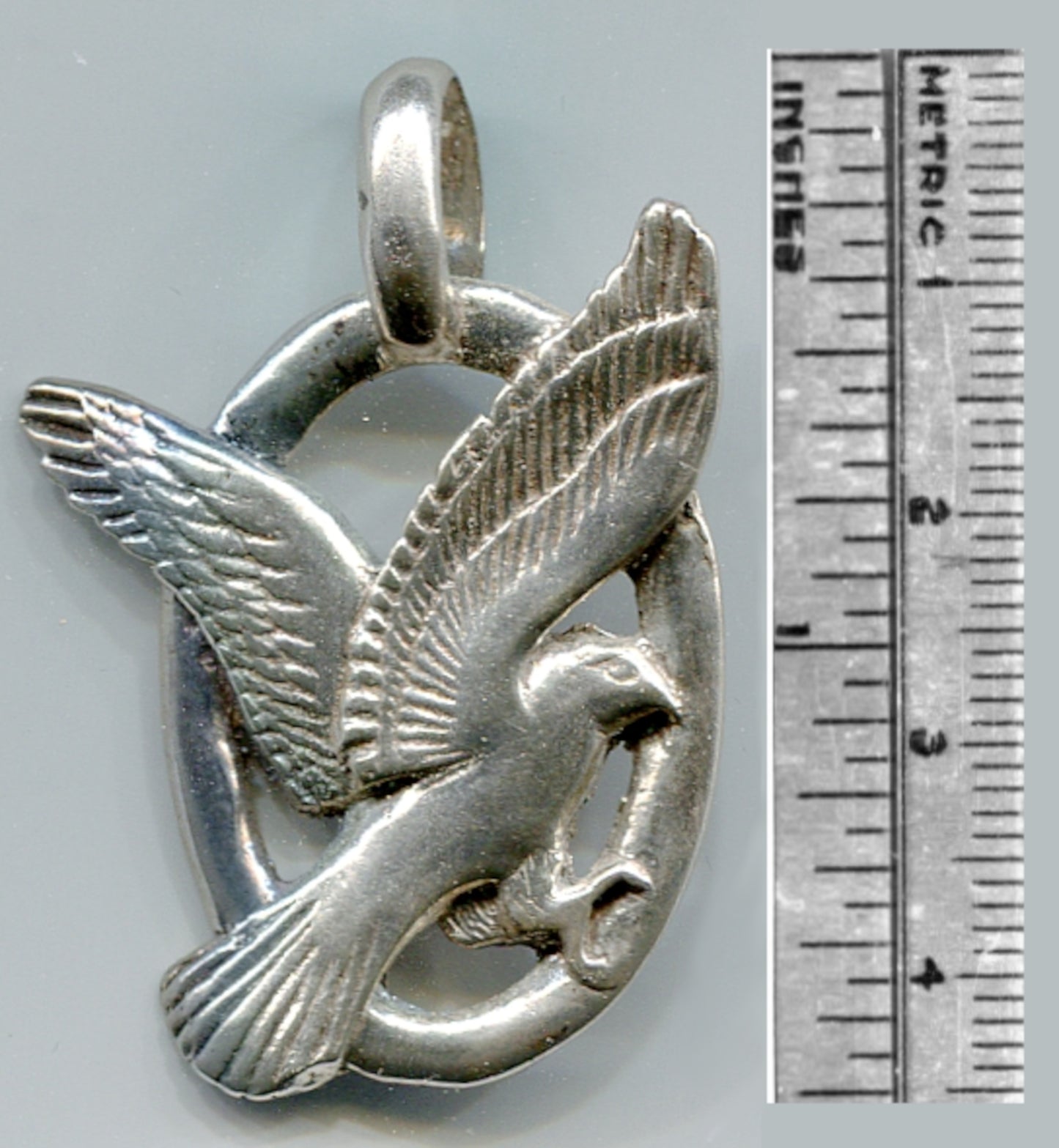 Harrier Hawk / Marsh Hawk - 3020S