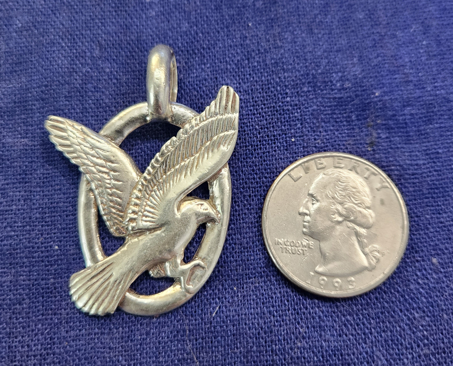 Harrier Hawk / Marsh Hawk - 3020S