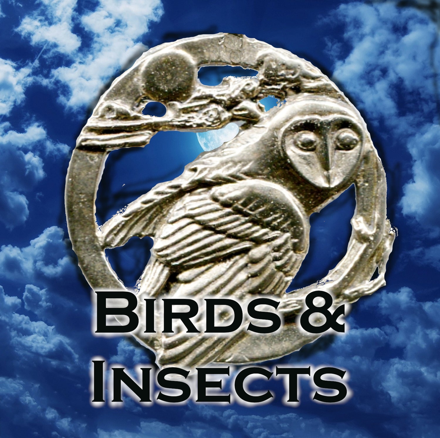 Birds & Insects